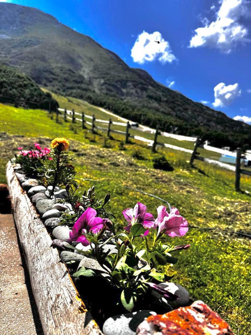 Mountain House Savin Kuk Villa Žabljak Eksteriør bilde