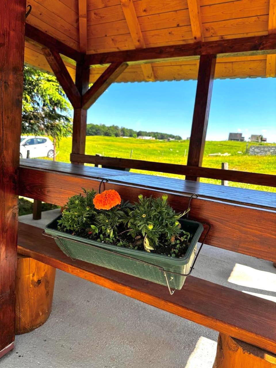 Mountain House Savin Kuk Villa Žabljak Eksteriør bilde